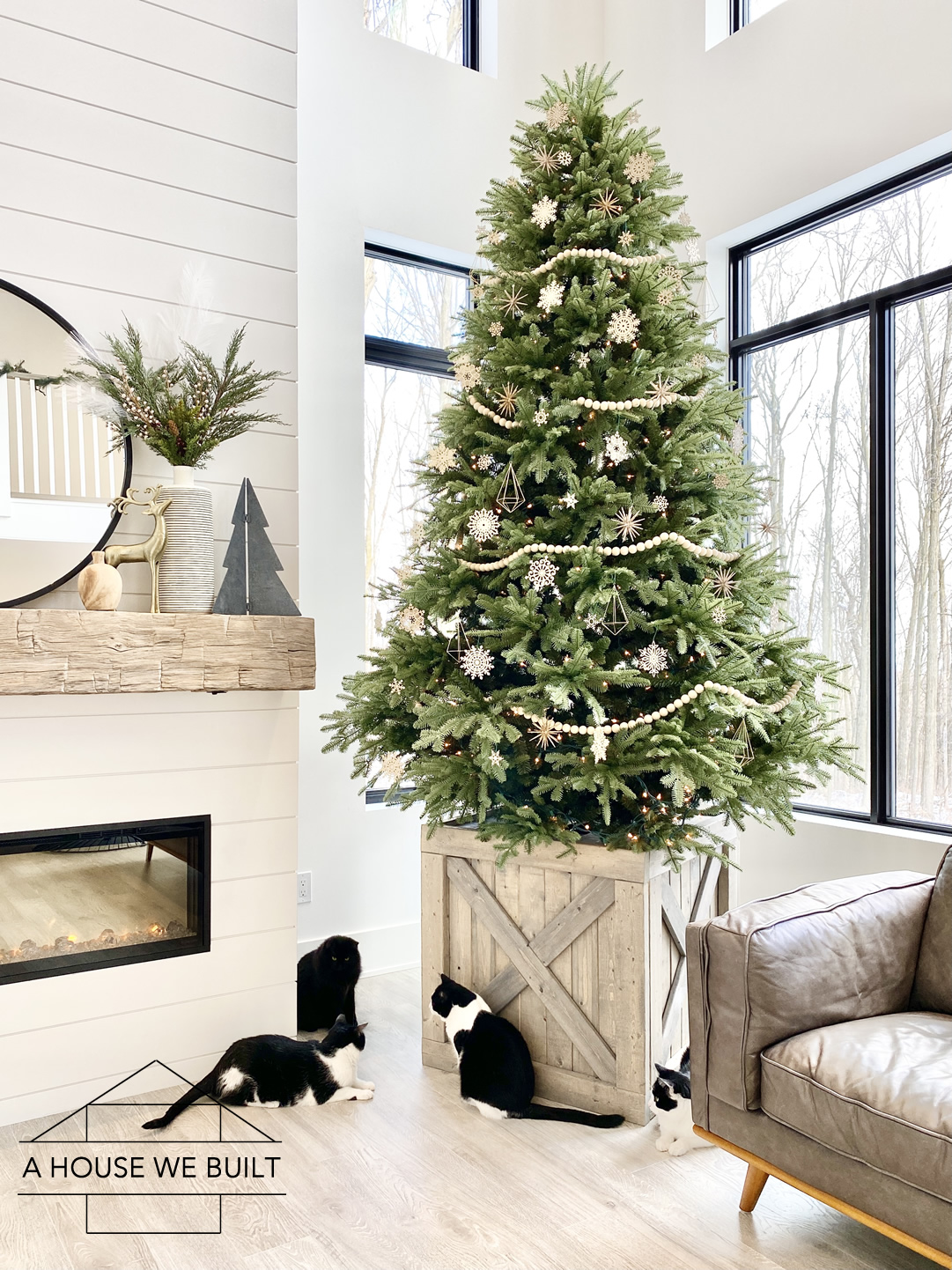 Cats And Christmas Trees